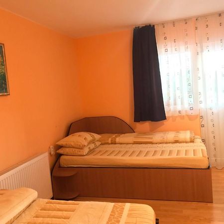 Pensiunea Colt De Rai Săcel Εξωτερικό φωτογραφία