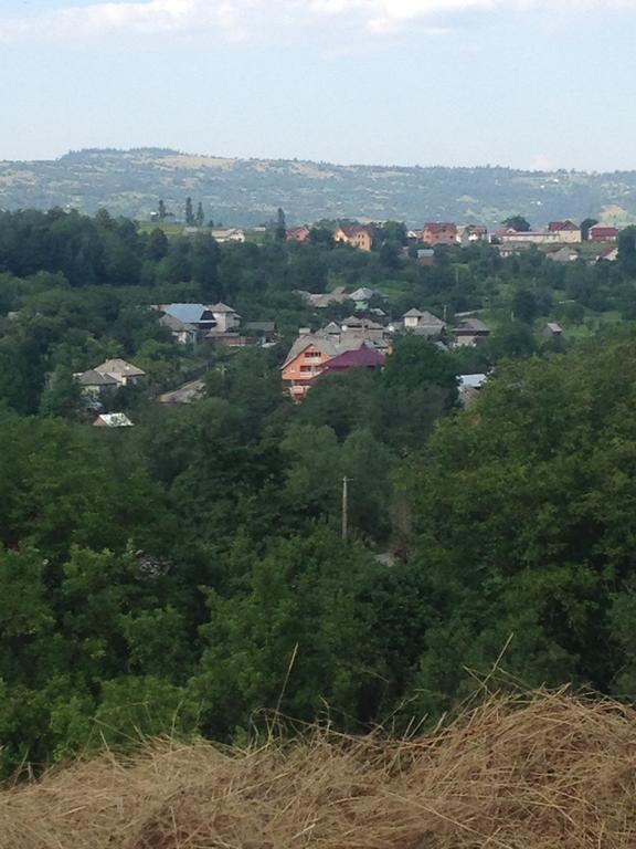 Pensiunea Colt De Rai Săcel Εξωτερικό φωτογραφία