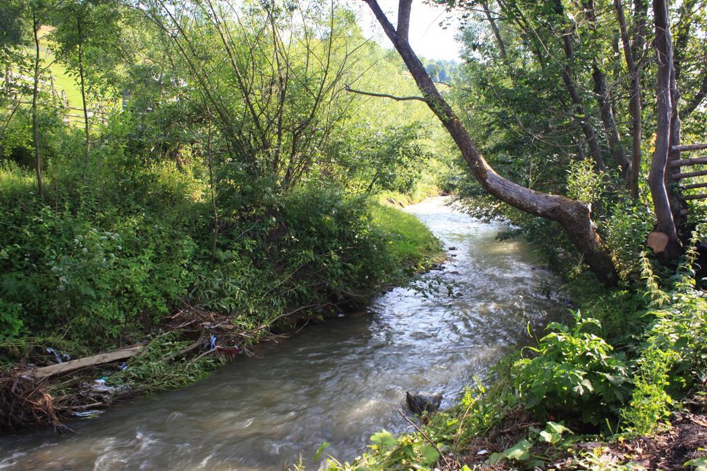 Pensiunea Colt De Rai Săcel Εξωτερικό φωτογραφία
