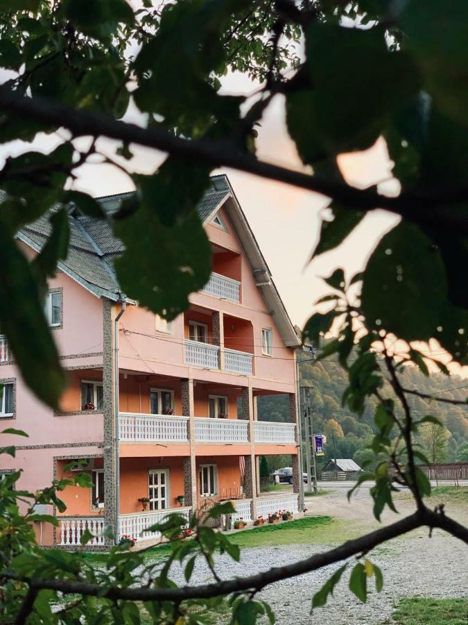 Pensiunea Colt De Rai Săcel Εξωτερικό φωτογραφία